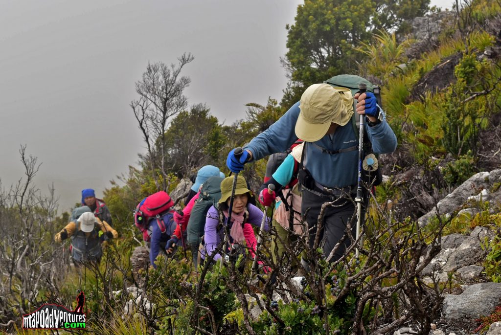 mt apo trek