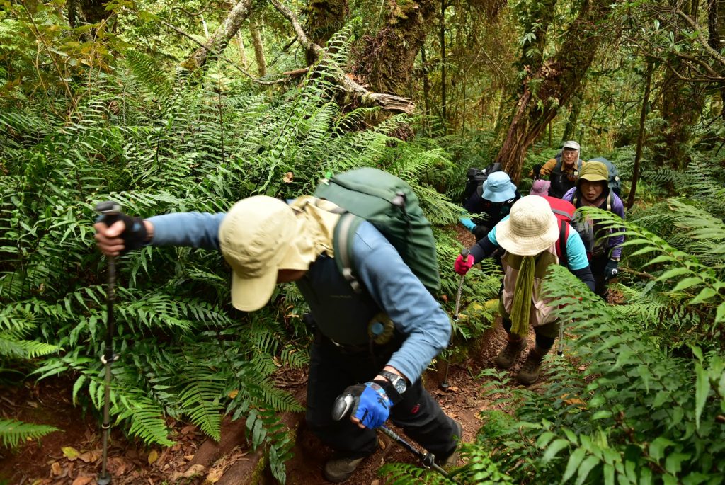 mt apo trek